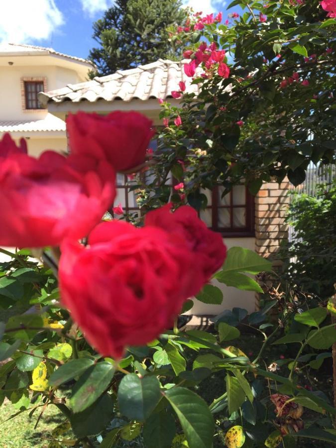 Villa Apart Hotel Lages Eksteriør bilde